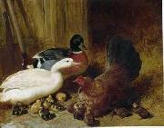 unknow artist Poultry 085 oil painting picture wholesale